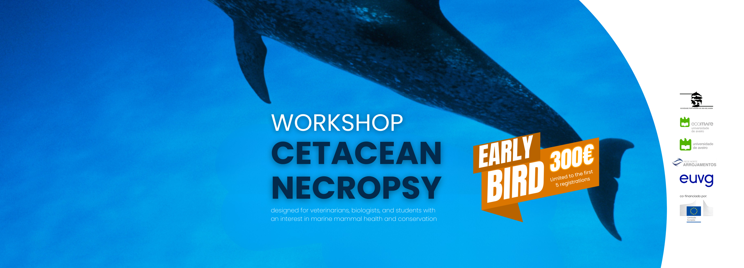 Workshop on Cetacean Necropsy